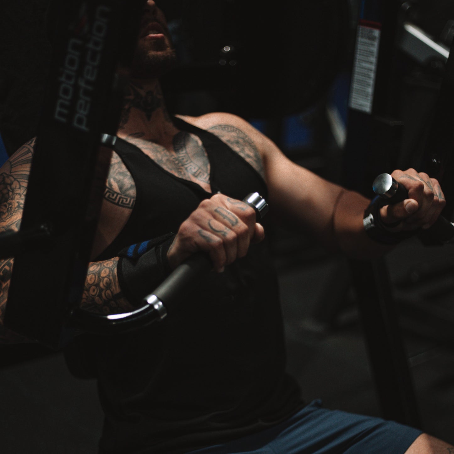 Big Bear Wrist Wraps